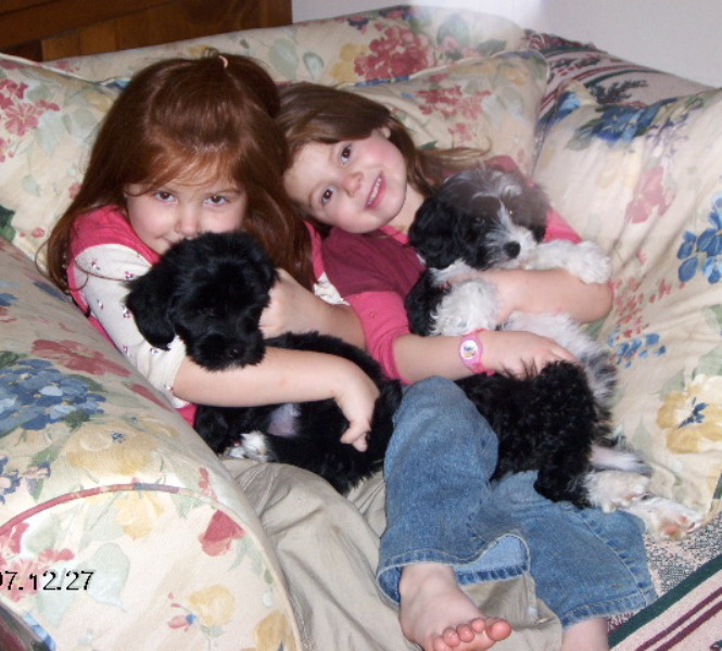 Two small girls sitting in a flowered soft chair holding two Tibetan Terriers, one black and one black and white