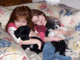 Two small girls sitting in a flowered soft chair holding two Tibetan Terriers