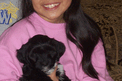 Young woman in a pink top holding mostly black Tibetan Terrier