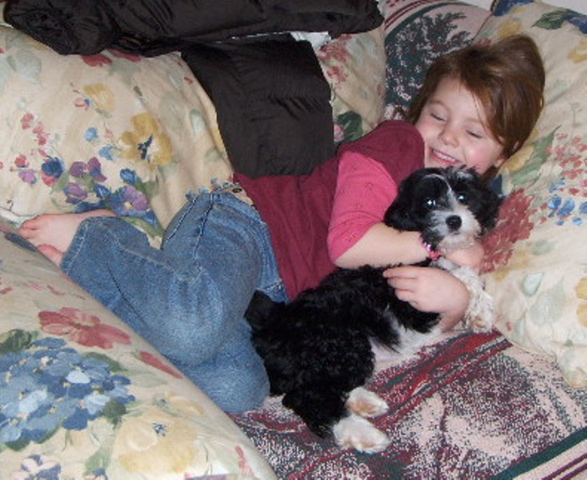 Young girl lying on pillows with black-and-white Tibetan Terrier