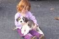 Red-headed little girl holding sable Tibetan Terrier puppy