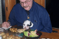 Man in a blue shirt holding a Tibetan Terrier puppy at the dinner table