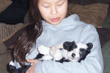 Girl in gray sweatshirt holding black-and-white Tibetan Terrier puppy