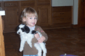 Small girl holding black-and-white Tibetan Terrier puppy in kitchen with parquet floor