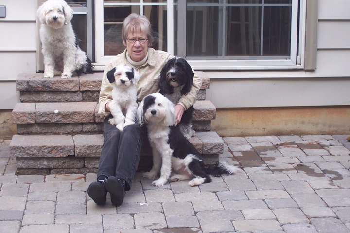 Woman sitting on stone steps with four Tibetan Terriers, two mostly white and two black and white