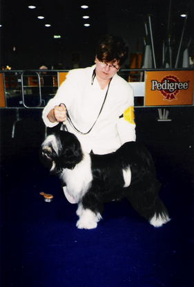 Lori Toth with black-and-white Tibetan Terrier standing for show