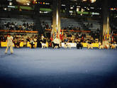 Line of various dog breeds at a distance in the show ring at the World Dog Show in Portugal, 2001