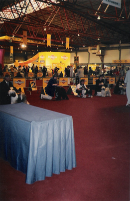 Five Tibetan Terriers at a distance in the show ring at the World Dog Show in Portugal, 2001