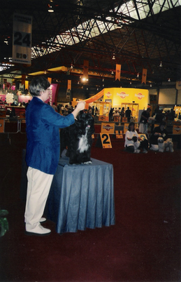 Lori Toth with a mostly black Tibetan Terrier standing on a podium for show at the World Dog Show in Portugal, 2001