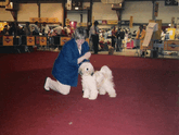 Lori Toth and a mostly white Tibetan Terrier in the show ring at the World Dog Show in Portugal, 2001