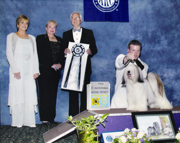 Mostly white Tibetan Terrier standing on podium in front of handler and beside three judges