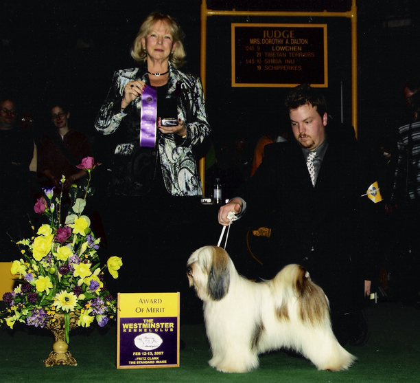 Mostly white tri-color Tibetan Terrier standing next to Award of Merit plaque and large bouquet of flowers